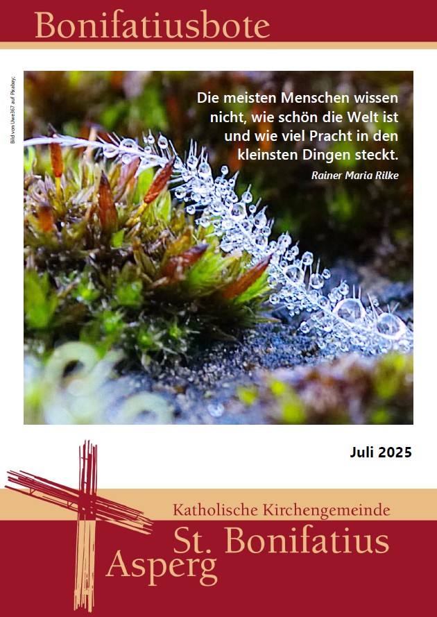 Cover Bonibote Dezember 2024