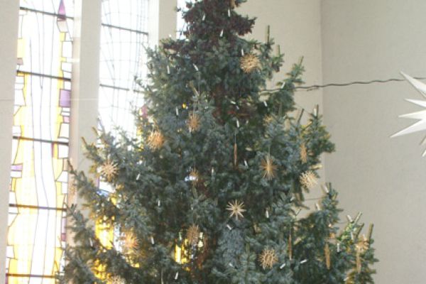 2009-weihn-baum-1-web-gross6715B47D-0F94-9D57-3406-4A7B08295F8A.jpeg